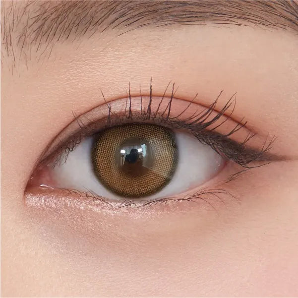 OLENS – REAL RING BROWN|1 DAY(1盒20片)