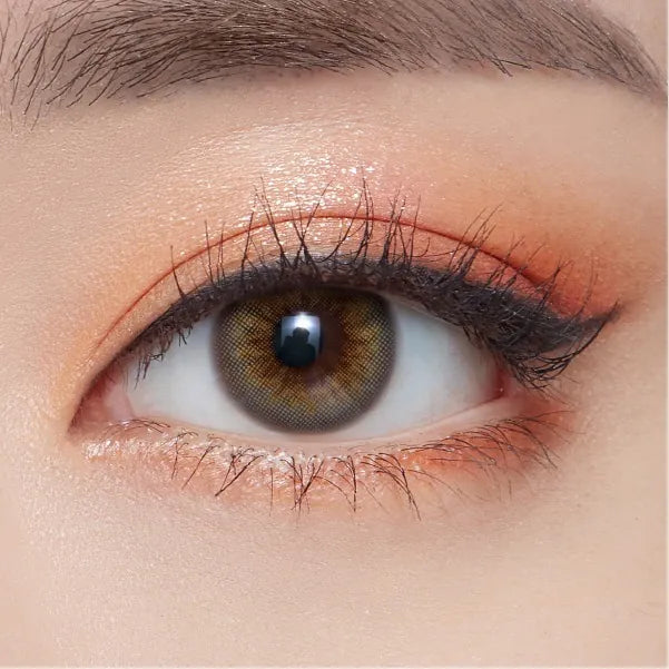 OLENS – SCANDI GRAY|1 DAY(1盒20片)