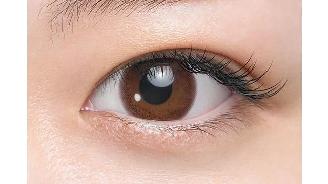 SEED EYE COFFRET 1 DAY UV M TORIC Sweetie Make 每日即棄彩妝隱形眼鏡(散光)