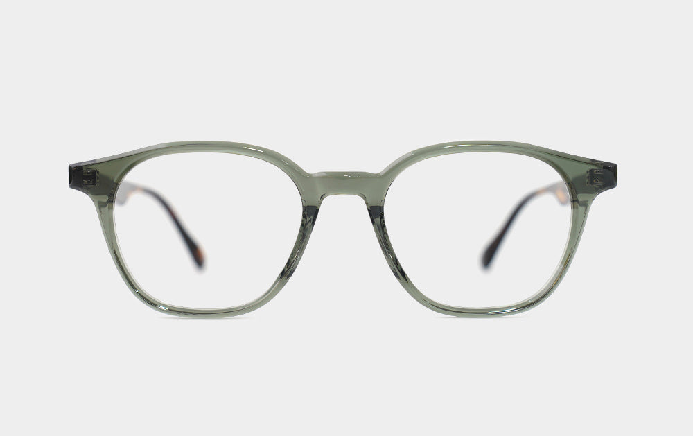 Nine Accord Horn T.F Col.5 Khaki-Tortoise