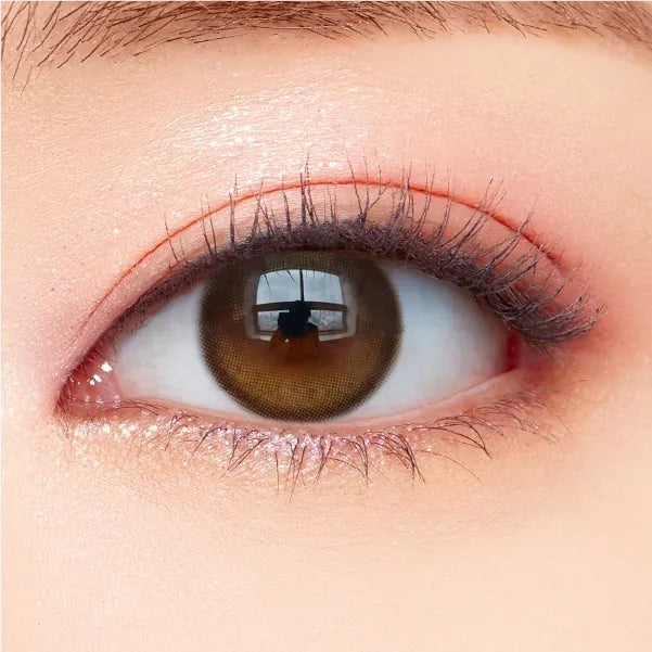 OLENS – EYELIGHTER GLOWY – BROWN｜1 DAY（1盒20片）