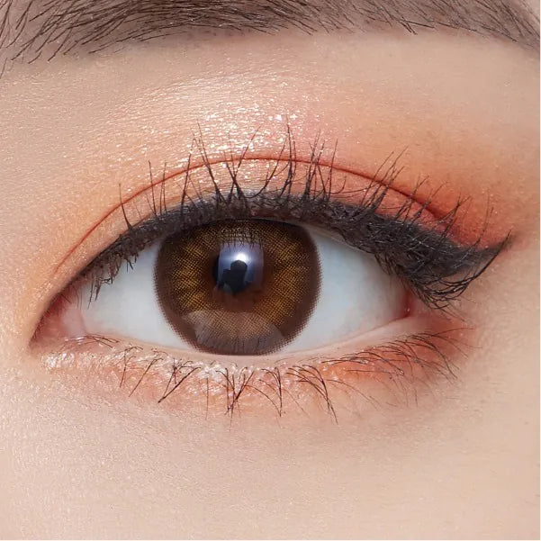 OLENS – SPANISH CIRCLE BROWN｜1 DAY（1盒20片）