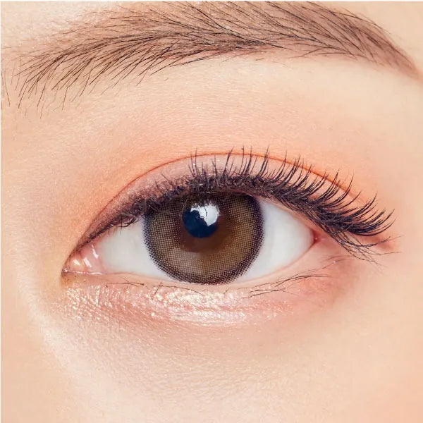 OLENS – VIVI RING BROWN｜1 DAY（1盒20片)
